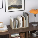 HOMLUX Scaffale da scrivania Organizzatore di file Forniture per ufficio