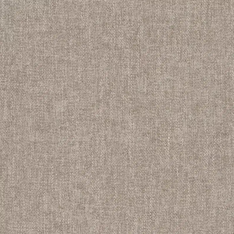 Sedia da pranzo moderna con braccioli e rotelle Spruce&Spring, nessun assemblaggio richiesto